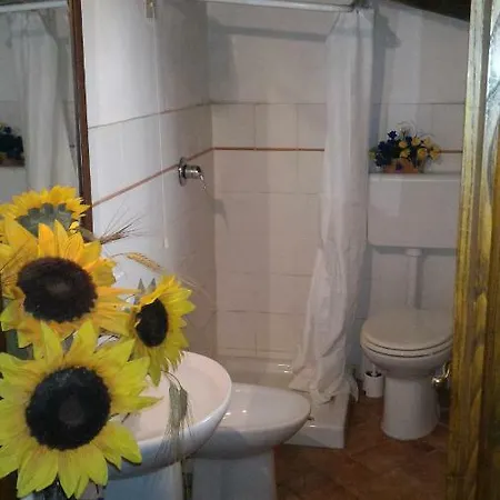 Holiday home Del Borgo Sassetta